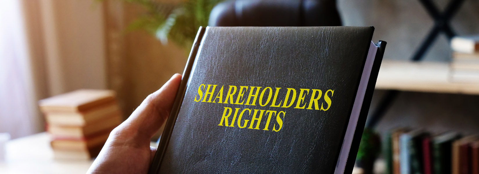 Shares, Not Bricks – How Ownership Works