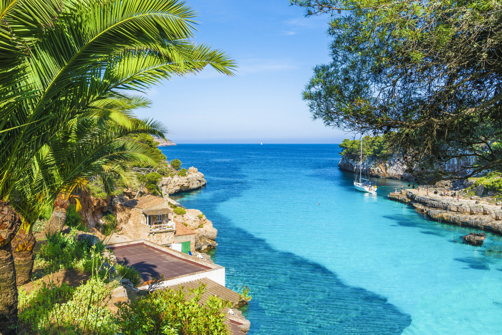 Mallorca Calva