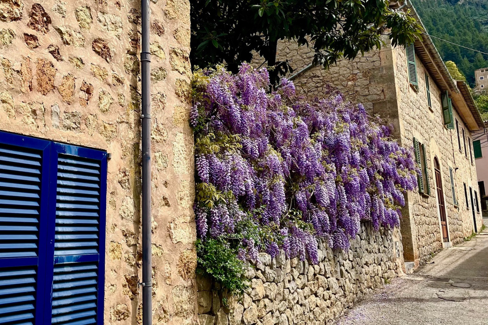 Design uden navn 56 | Global Homebase