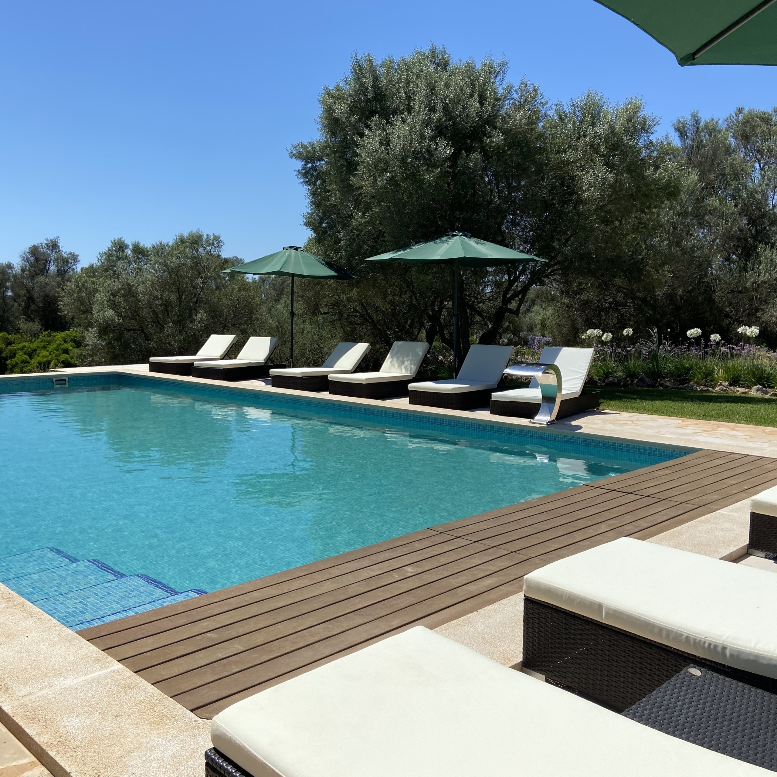 los hibiscus pool square scaled | Global Homebase