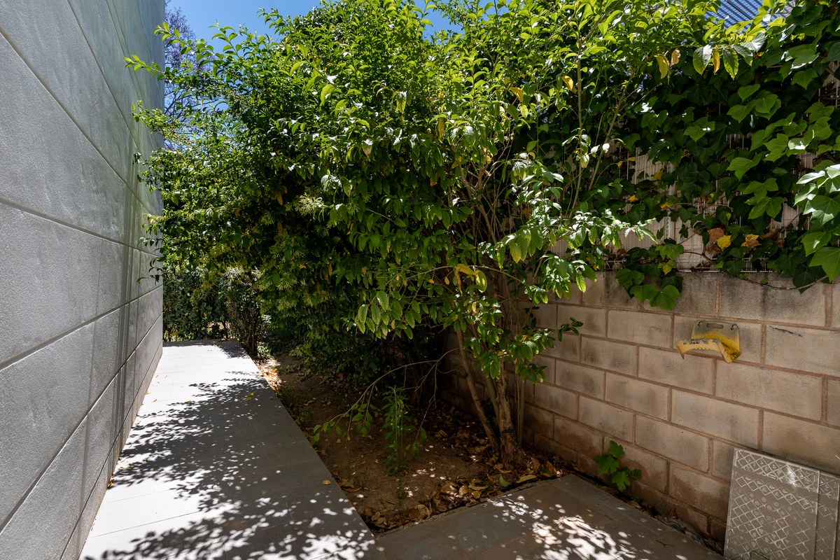 06-side-garden-path-mature-shrubs-1200×800 El Jardín — Garden Apartment in Son Rapinya