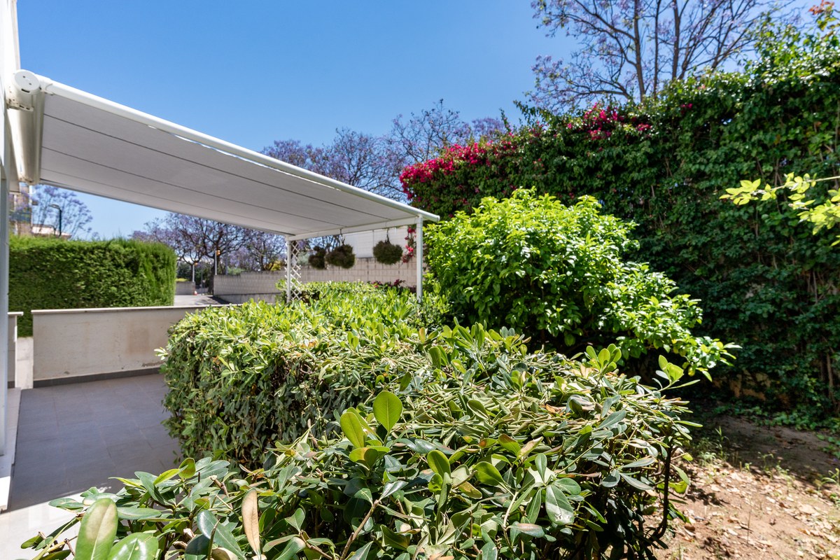 08-garden-fruit-tree-bougainvillea-wall-1200×800 El Jardín — Garden Apartment in Son Rapinya