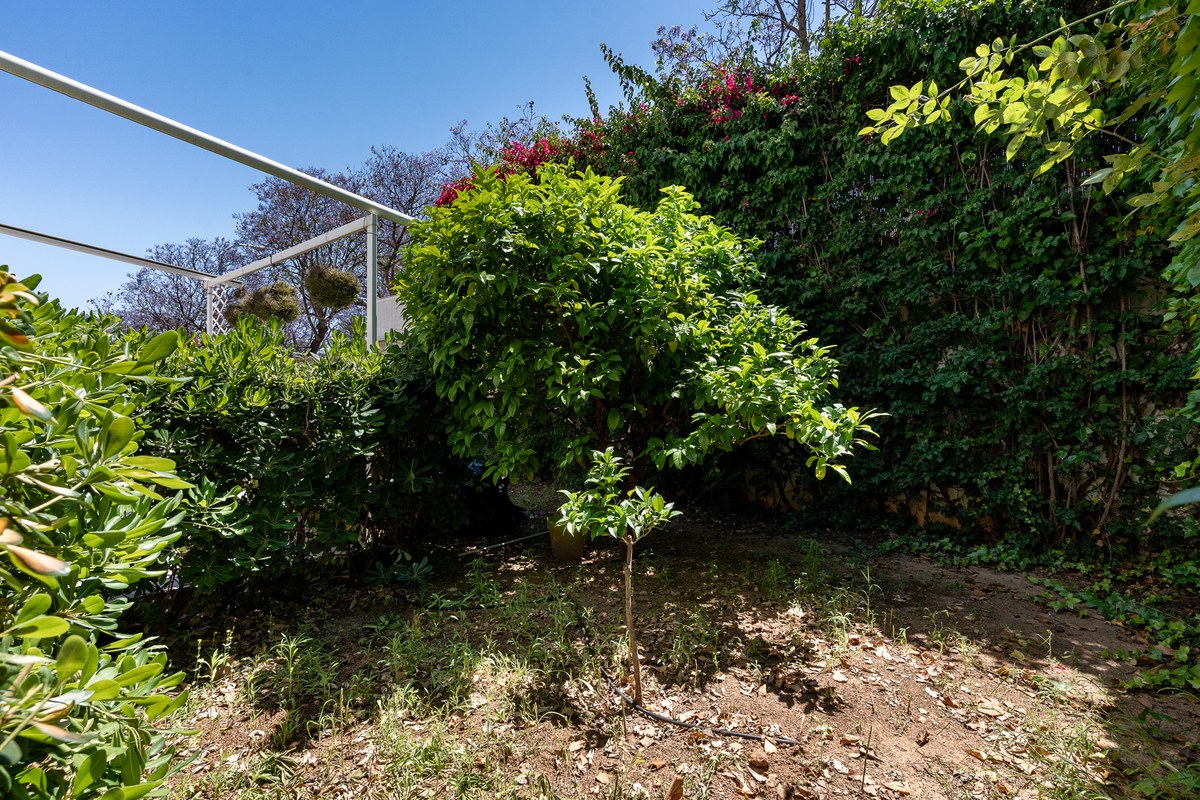 09-covered-terrace-tiled-patio-greenery-1200×800 El Jardín — Garden Apartment in Son Rapinya