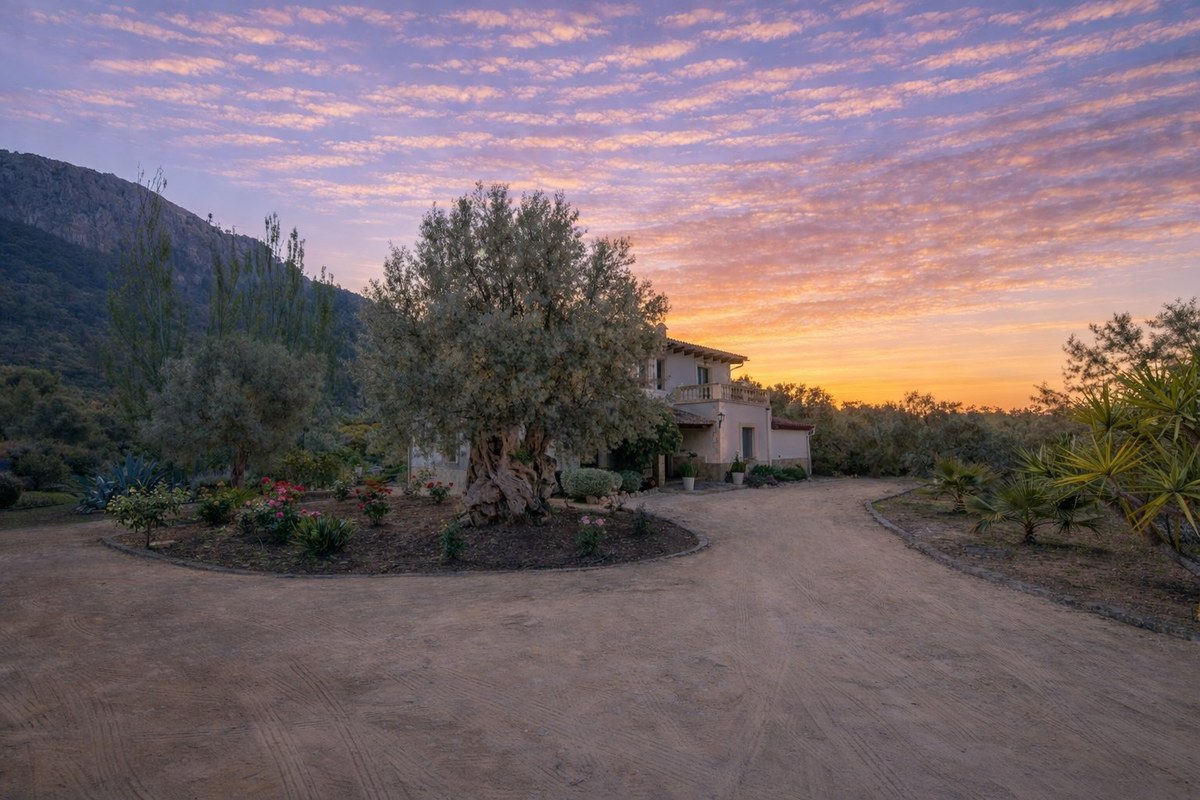 Casa Son Cabaspre — A Tramuntana Retreat in Esporles