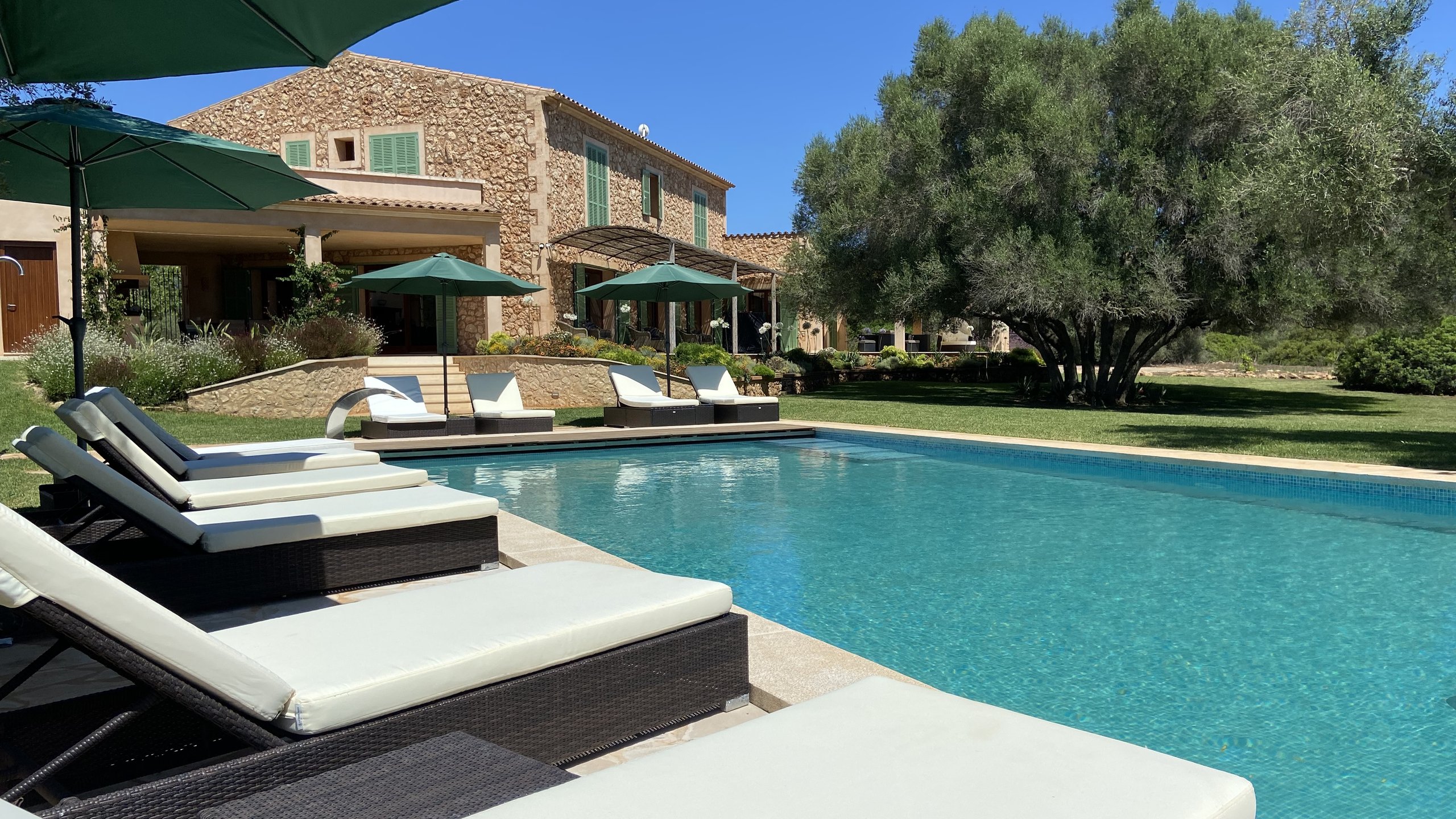 Los Hibiscus finca, Campos