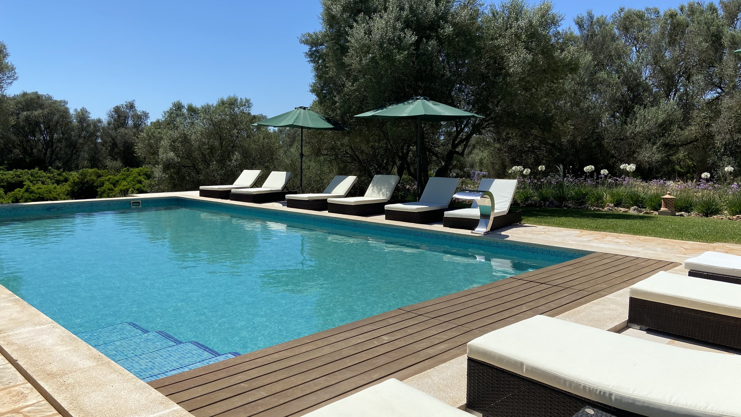 Los Hibiscus pool and garden
