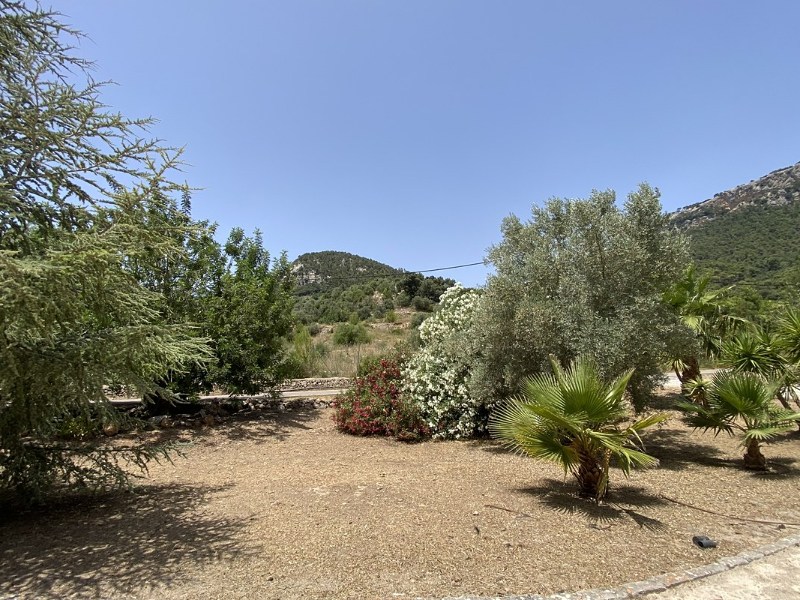 The garden at Casa Son Cabaspre looking towards the Tramuntana