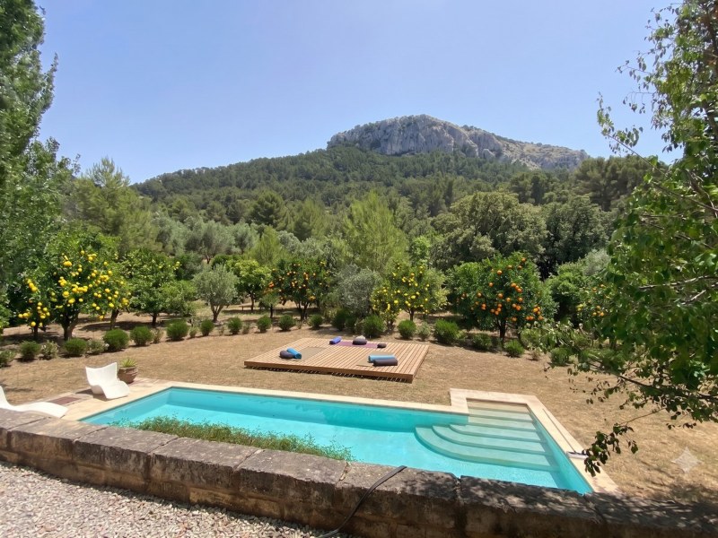 The pool, the yoga deck and the grove below the Tramuntana