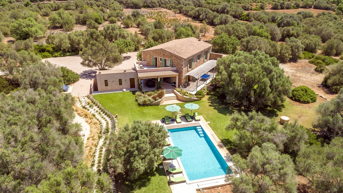 Los Hibiscus seen from the air, the house and pool in their own olive grove