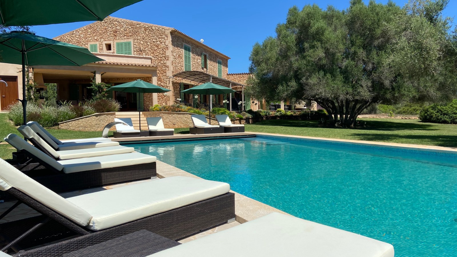Los Hibiscus finca, Campos