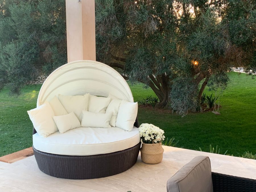 A daybed in the shade of an olive tree