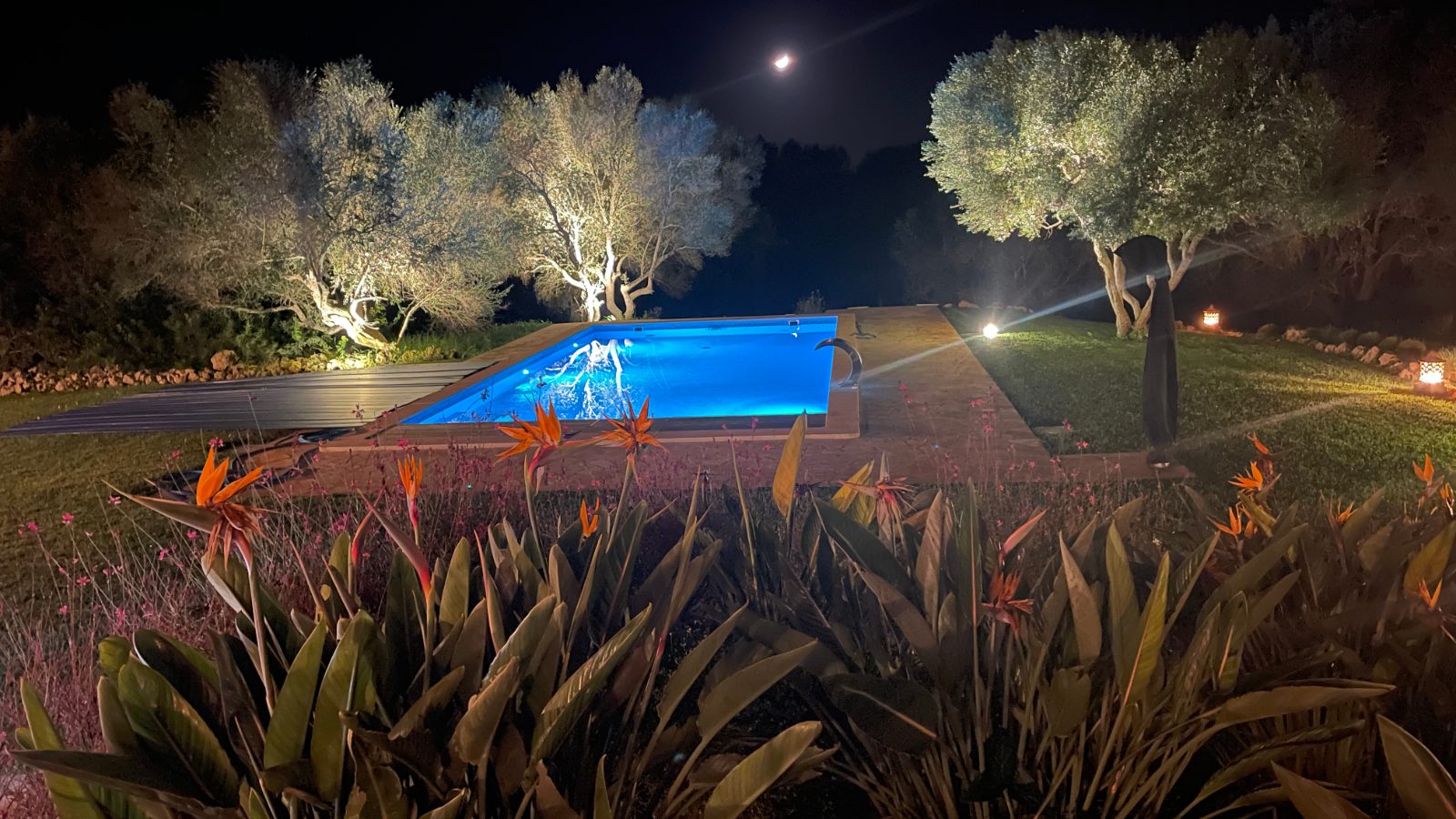 The pool lit at night, olive trees behind