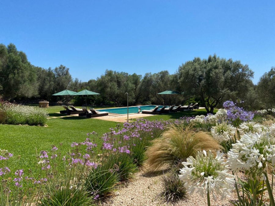 Flowering garden beds between the lawn and the pool