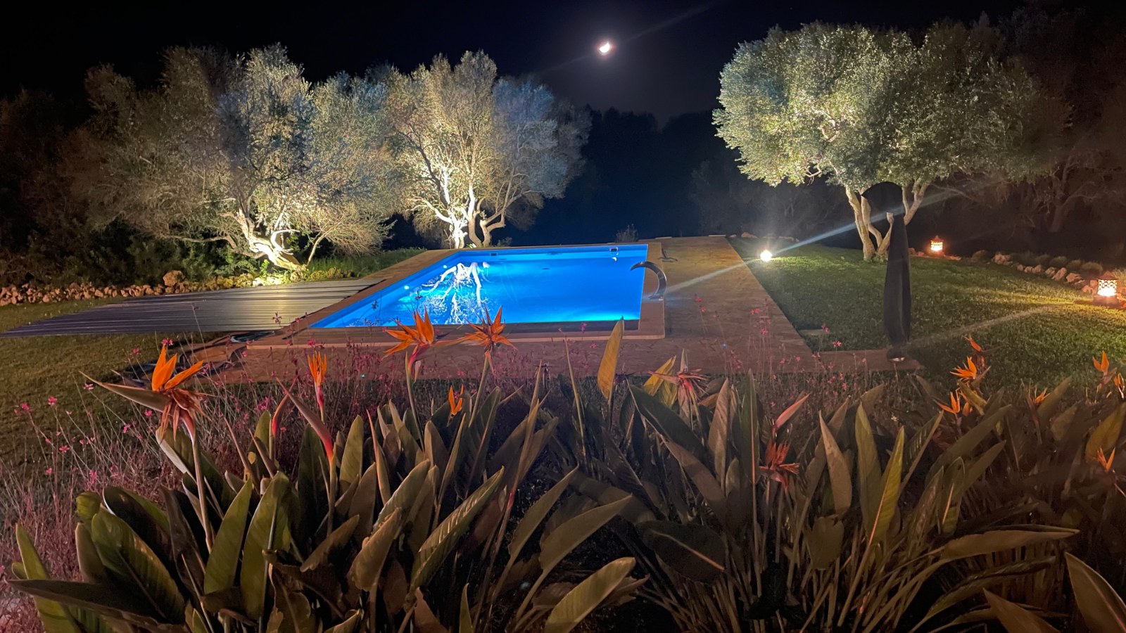 The pool at Los Hibiscus lit after dark under the olive trees