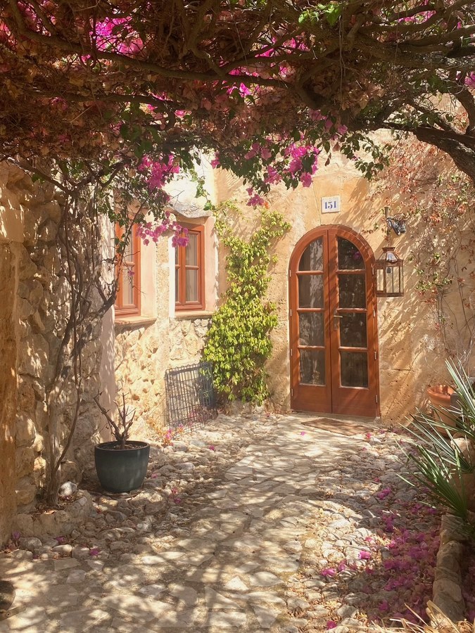 The entrance courtyard under bougainvillea