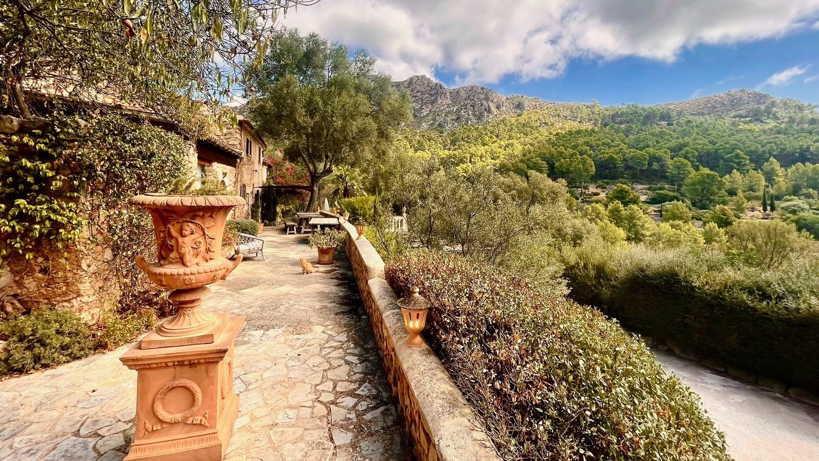 The terrace at Sa Coma Freda with the mountains above Andratx