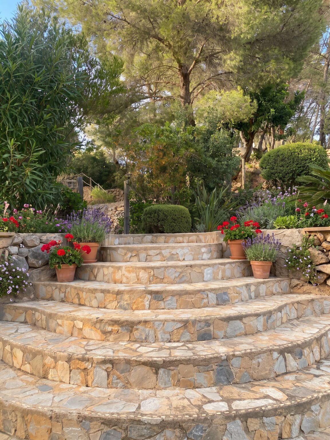 The stone steps — visualisation