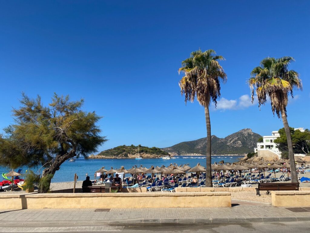 The beach at Sant Elm with palms and Sa Dragonera