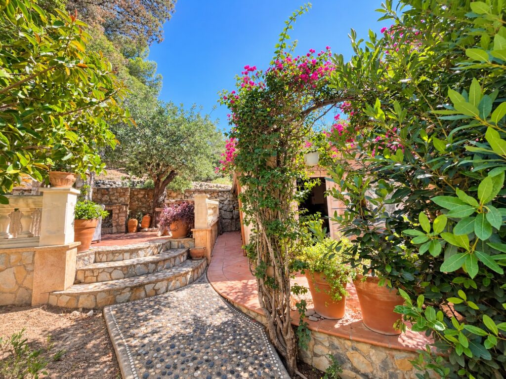 Stone steps through the garden under bougainvillea