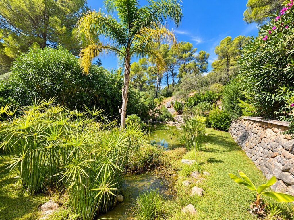 The water garden with palms