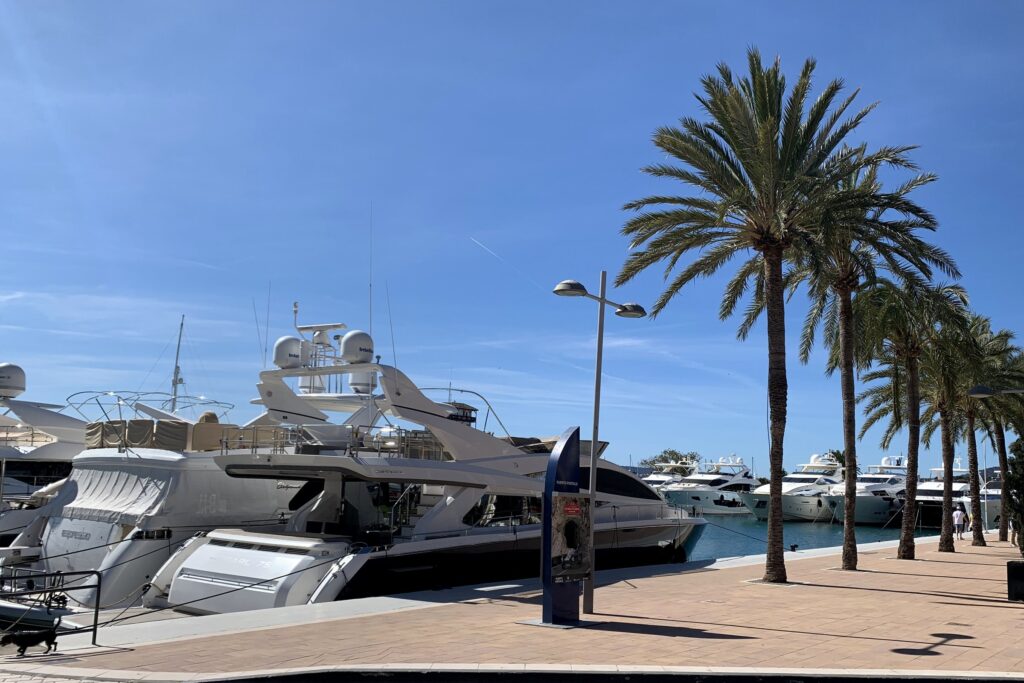 Yachts and palms along the promenade at Puerto Portals, Mallorca